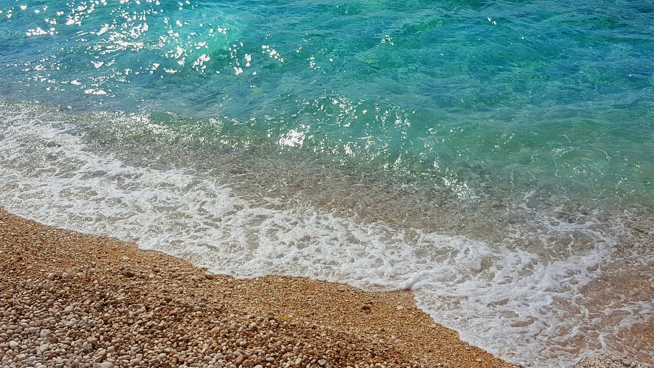 最新章节的魅力,奇幻之旅的深入探索