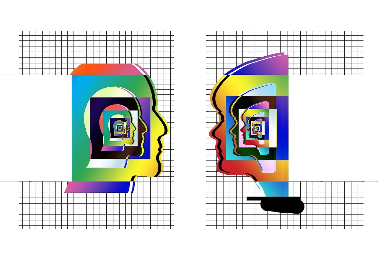 寿龙岛最新动态探索与揭秘