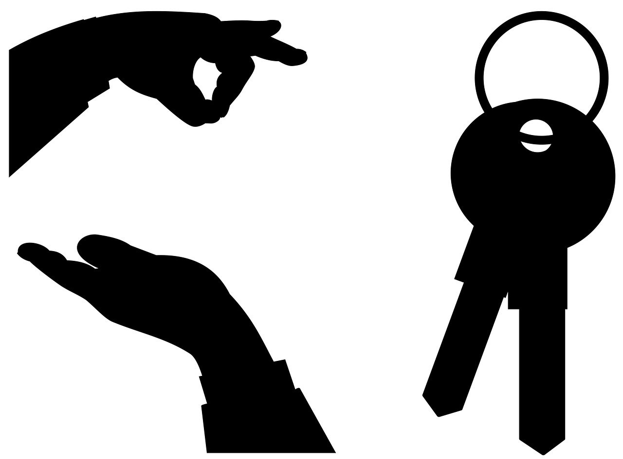 最新版咸鱼,重塑二手市场的潜力巨头