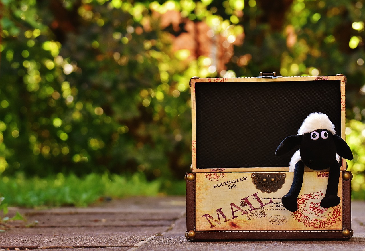 最新盲盒素材的魅力探索与揭秘