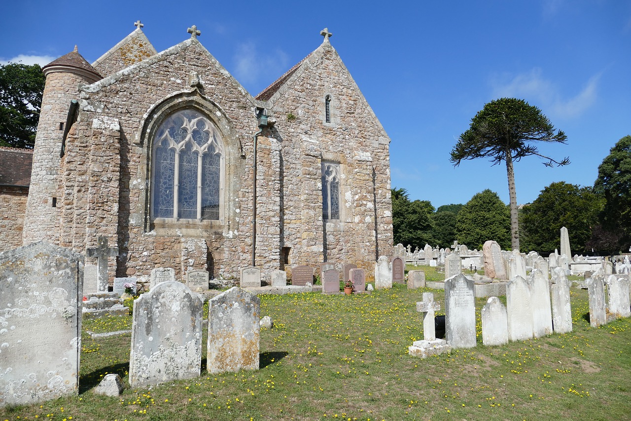 文馨苑最新动态，变迁与最新进展