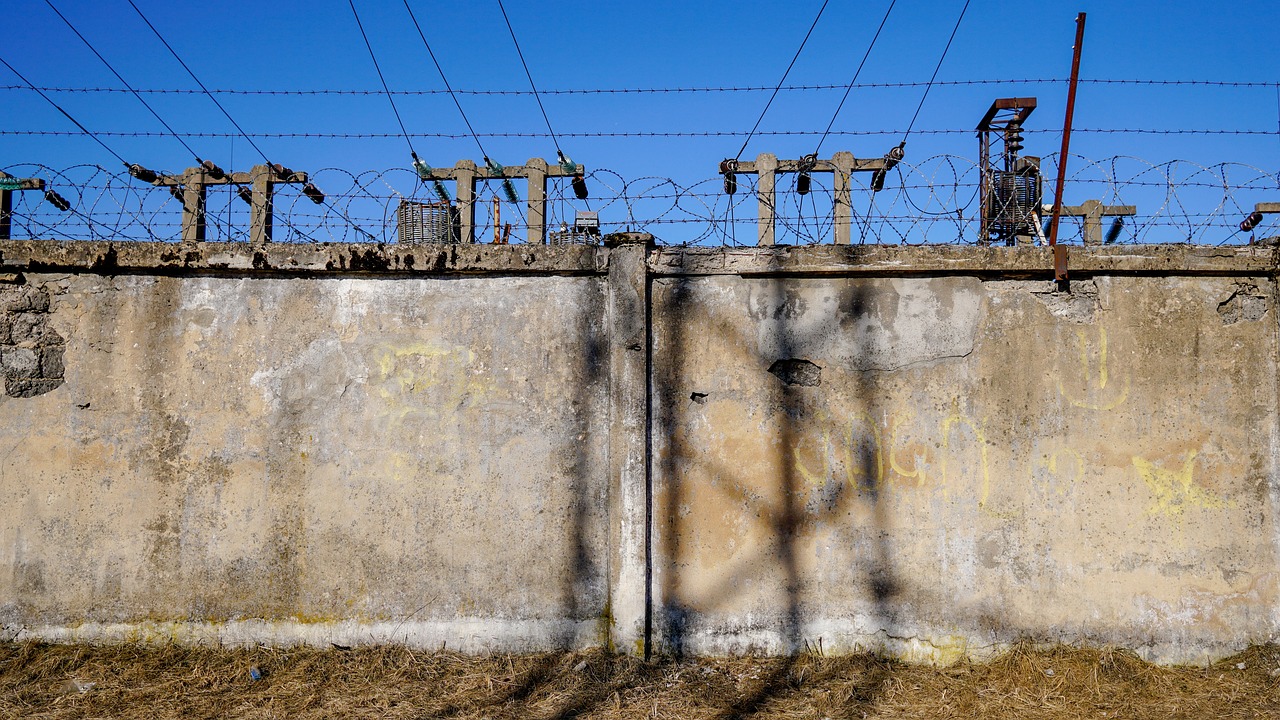 最新高福动态，探索科学前沿，引领未来科技领军之路
