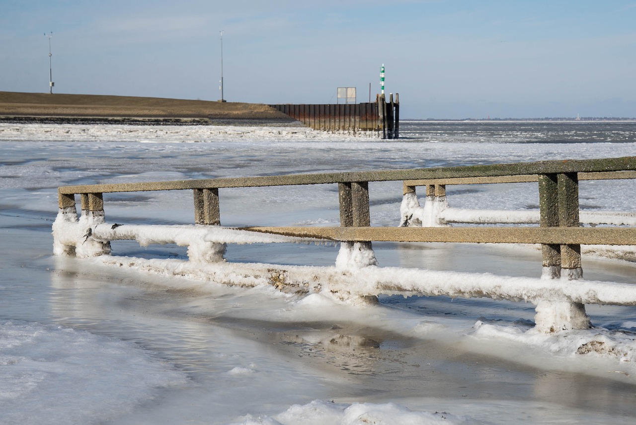 海疫情最新通报更新，疫情动态与防控措施解析