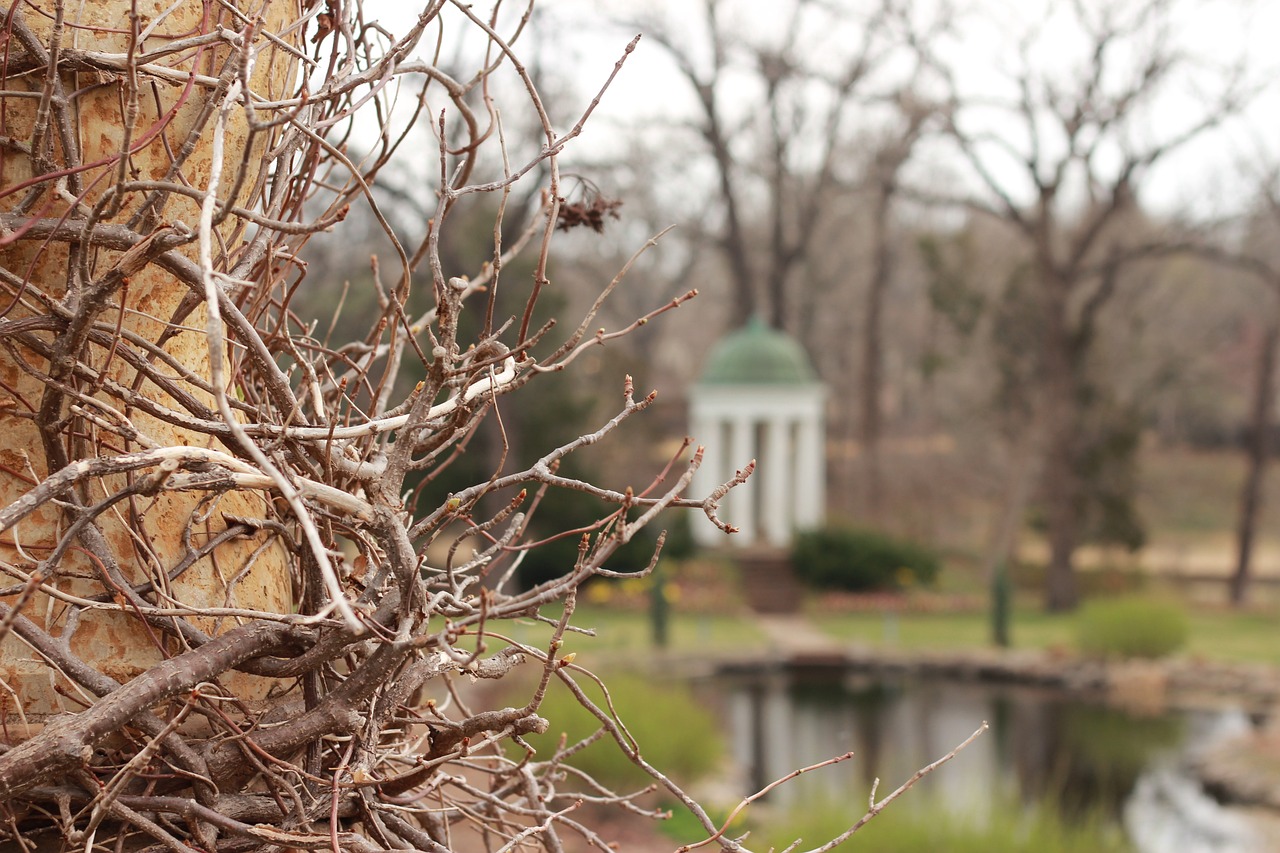 秋霞最新八,自然与人文的交融之美