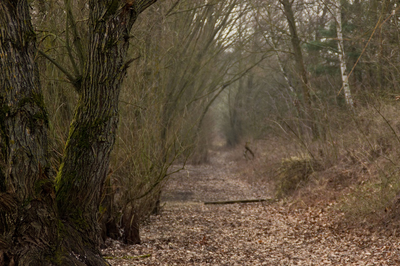 2024年11月 第5页