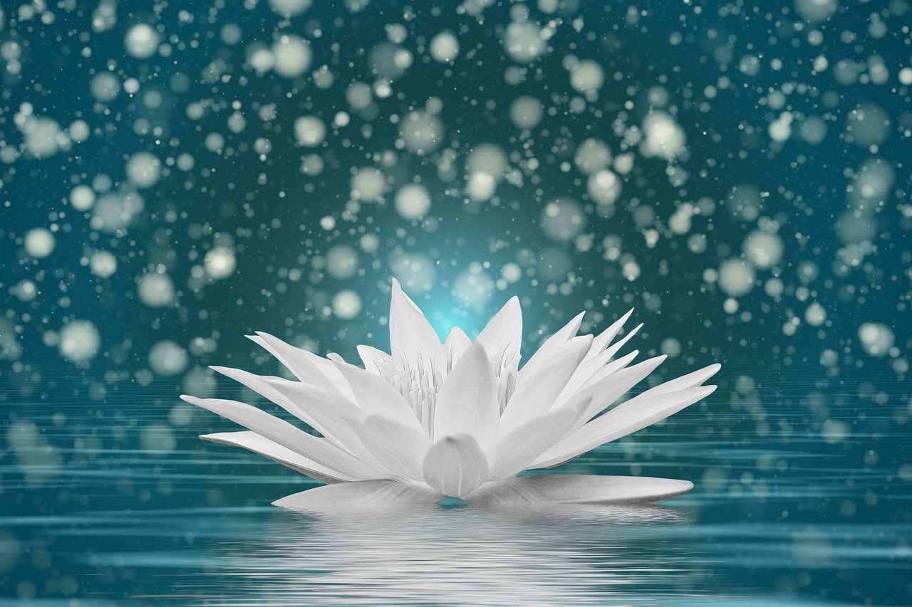 璀璨新时代,最新满天星闪耀登场