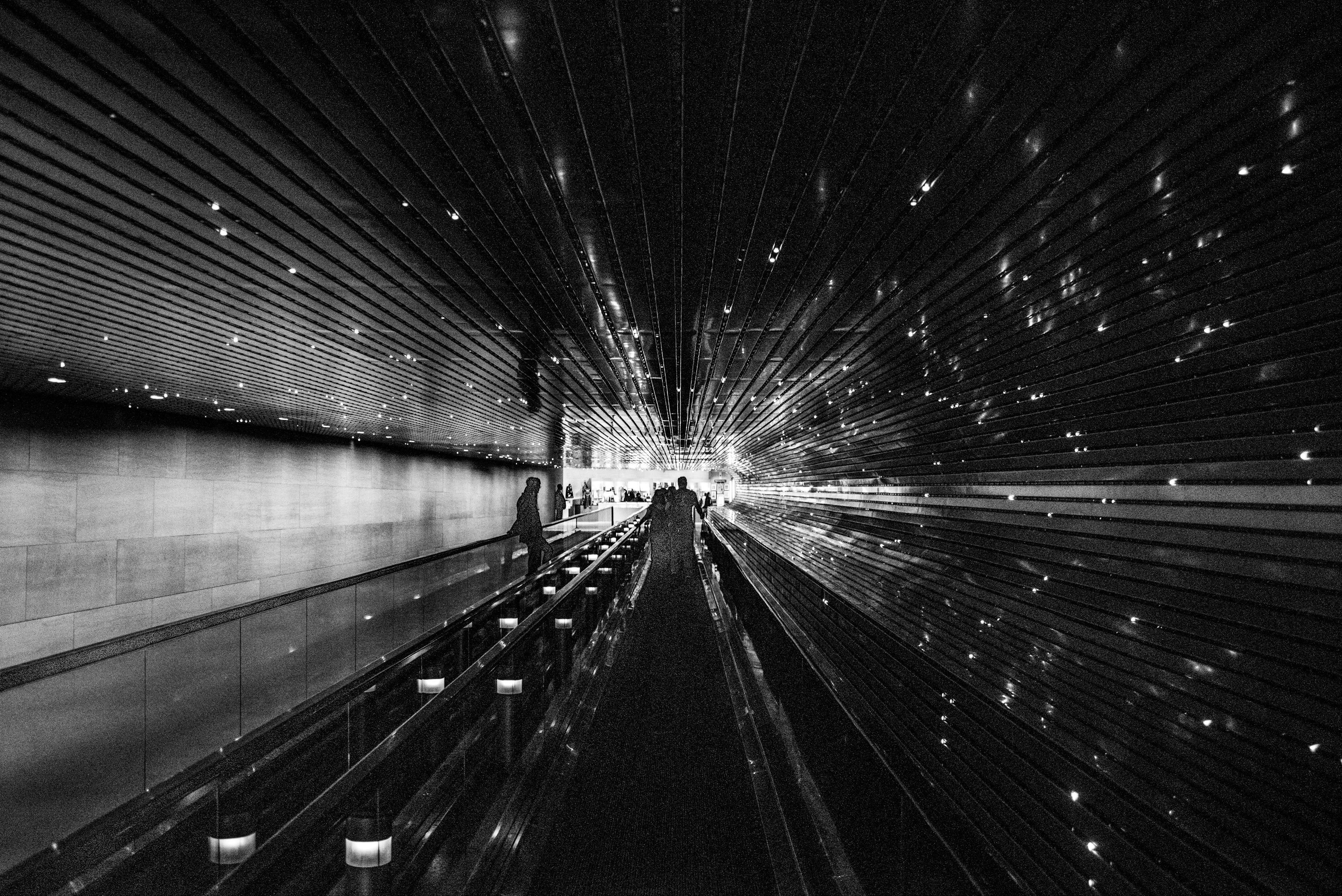 璀璨新时代,最新满天星闪耀登场