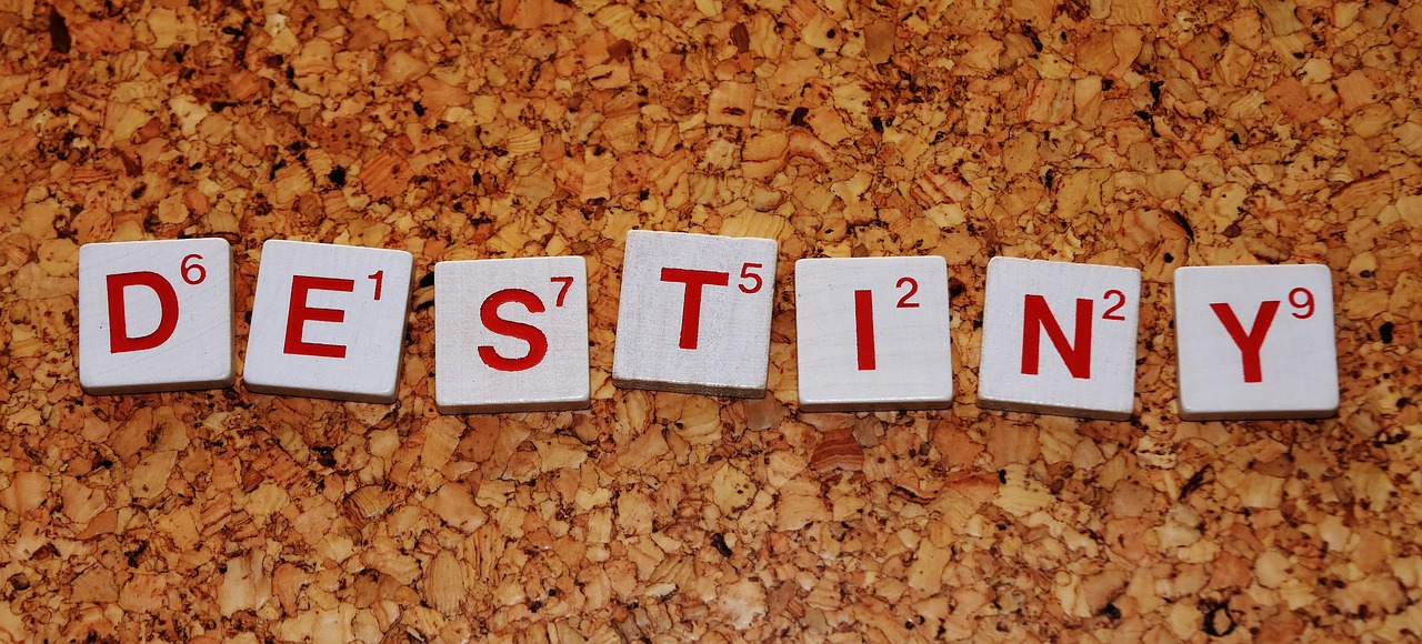 华为与小米最新手机技术探索前瞻,华为小米最新手机动态