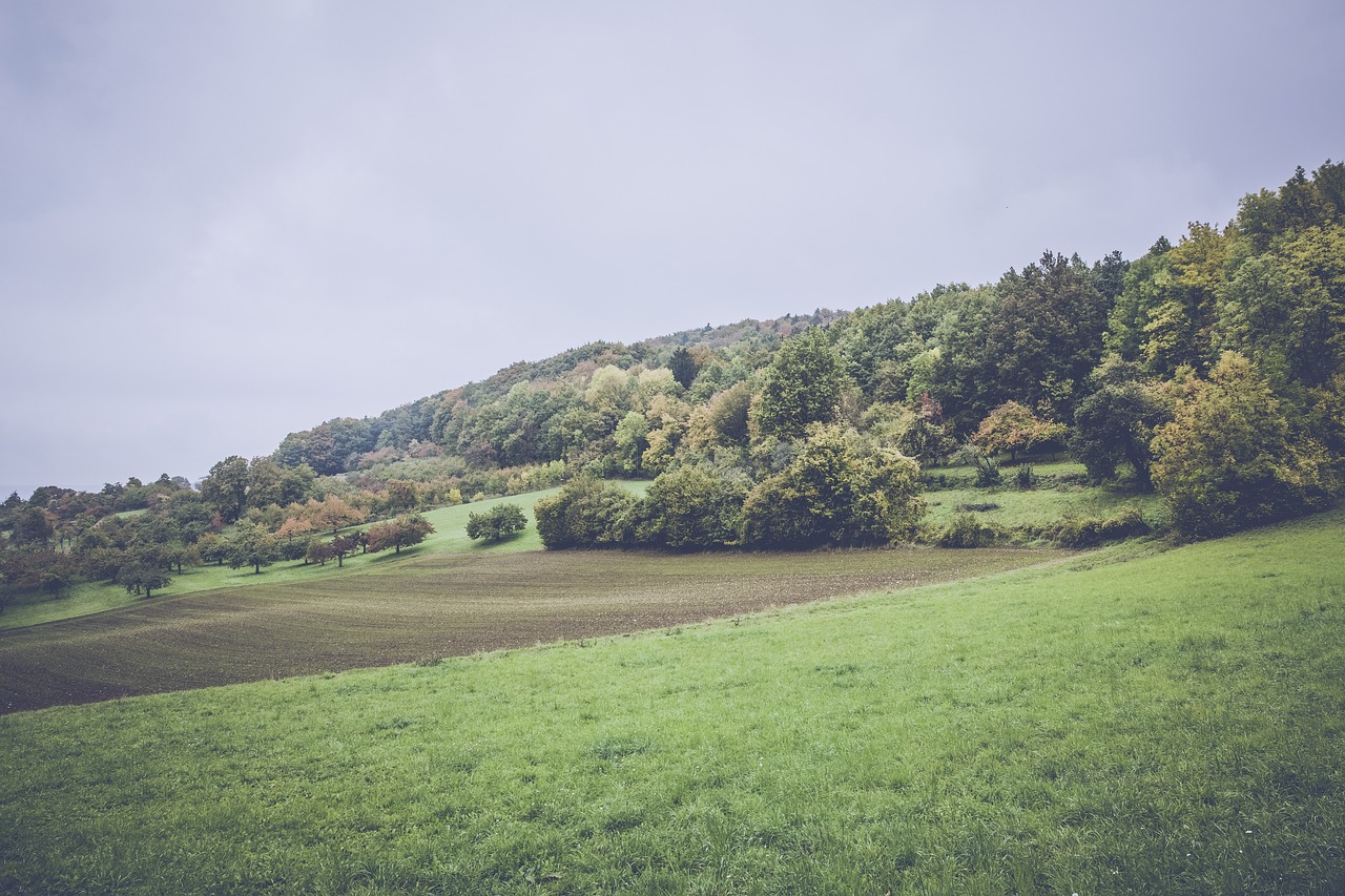 印巴争端最新动态及地缘政治的复杂性与未来展望分析