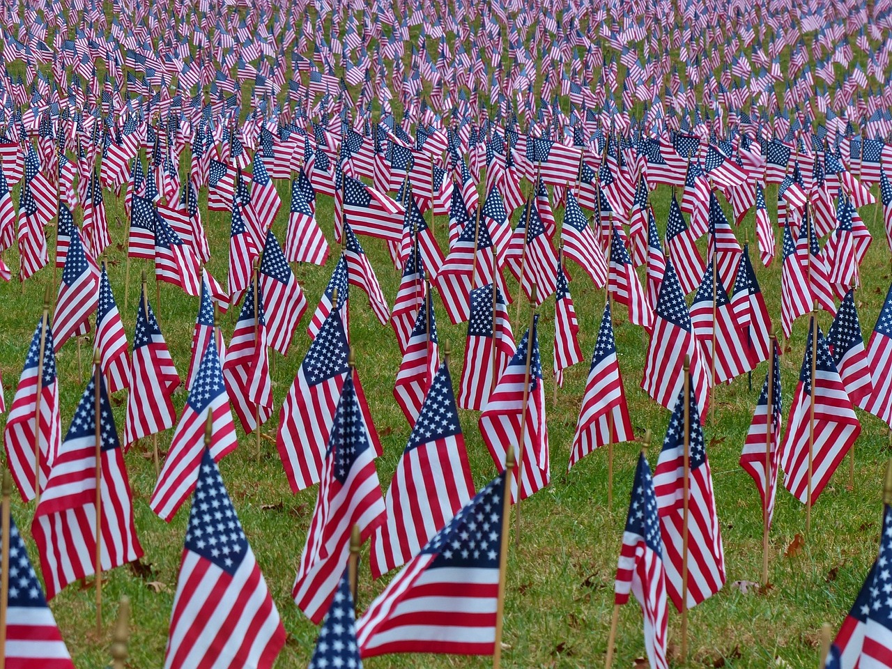 日本疫情最新动态,新冠肺炎分析与观察