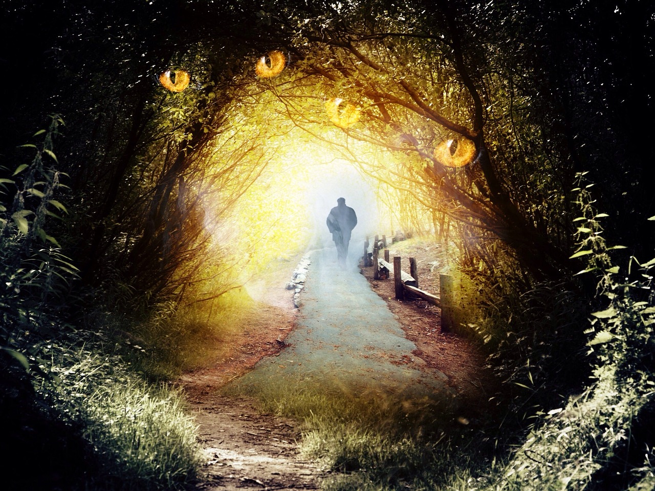 探索未知世界的神秘魅力,最新传奇收走之旅