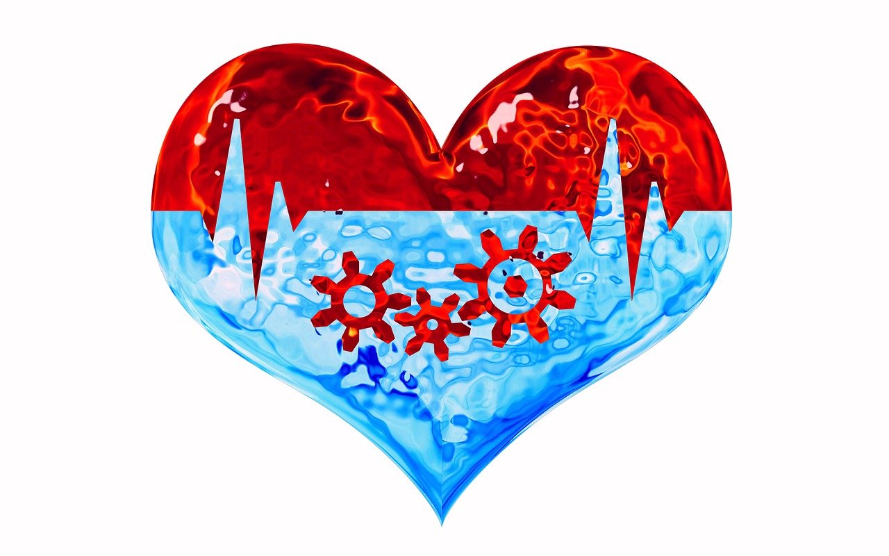 城市新动态与生活洞察,最新今晚报报道速递