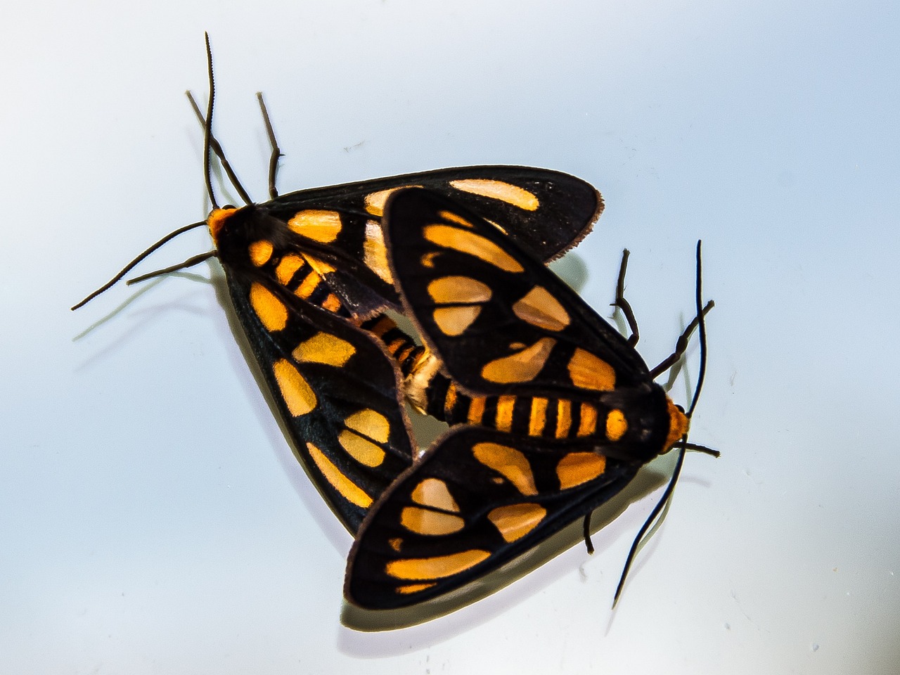 探索与突破,野浦暖的最新动态与进展