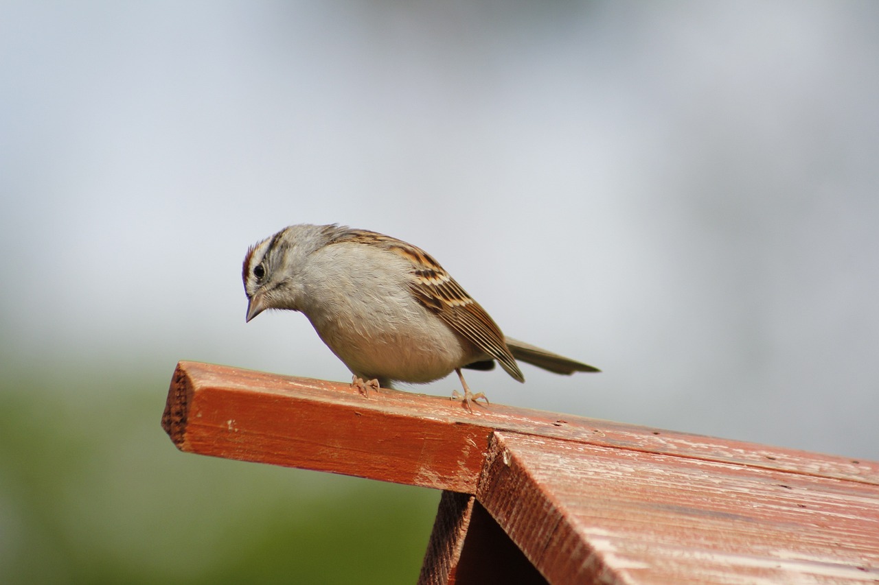 探索与突破,野浦暖的最新动态与进展