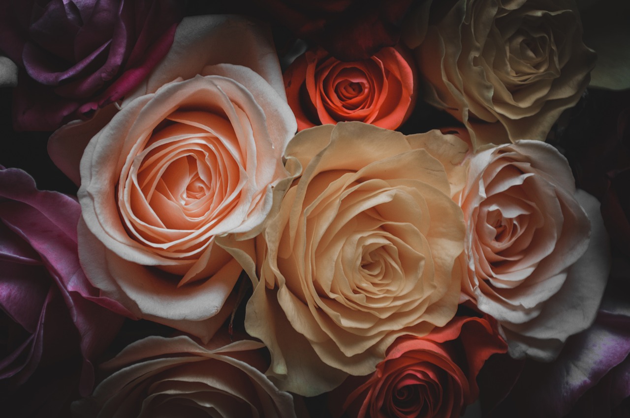 催泪日本动漫的最新魅力与情感深度解析