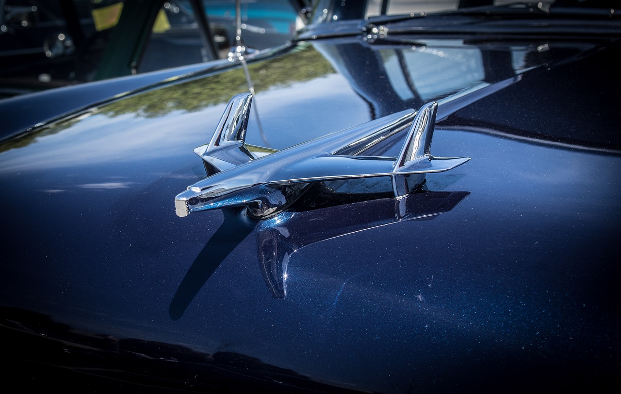 全球最新发展趋势及其国内外影响分析