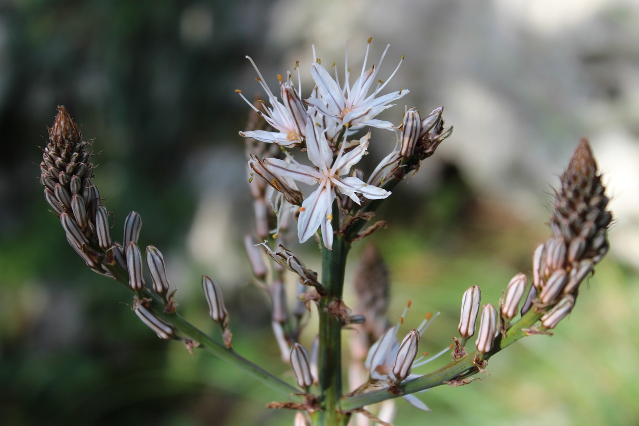 全园最新疫情动态及应对策略,了解疫情最新进展与应对措施