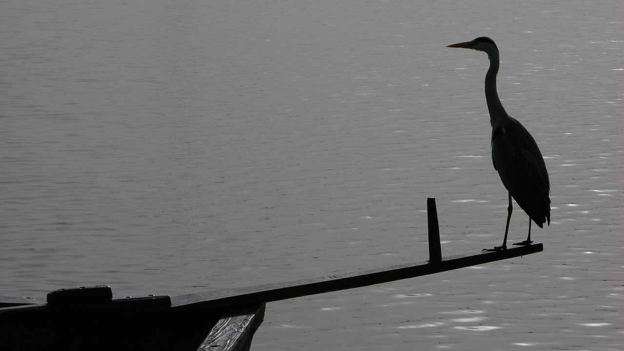 甘价服务最新动态,重塑客户体验的价值与策略