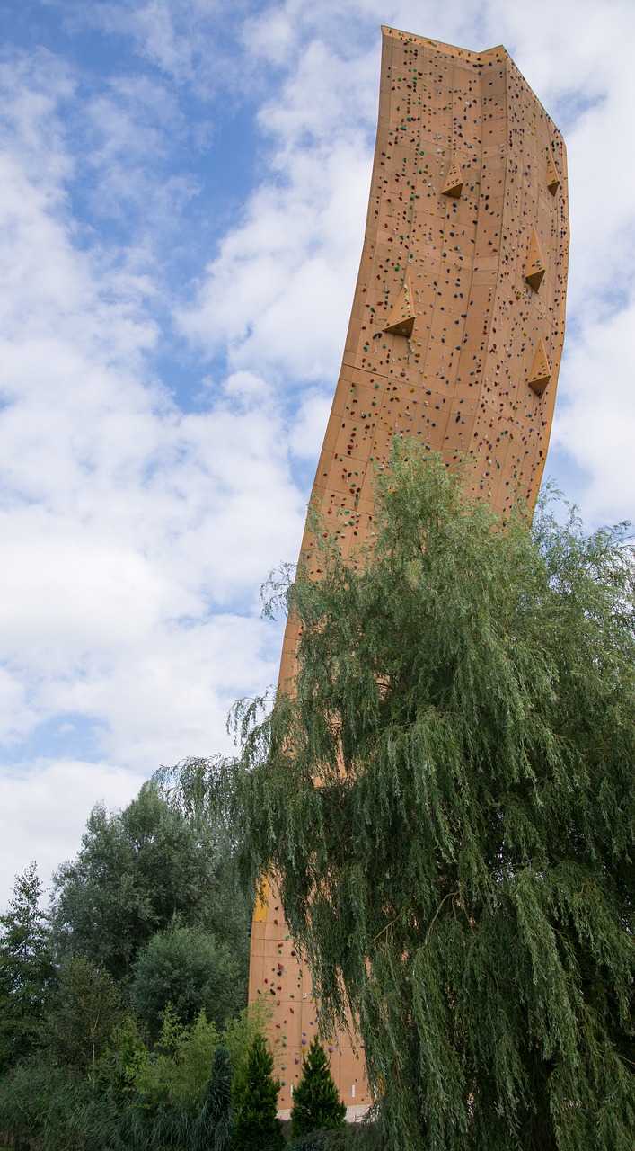 展钰凝的最新动态与成就概览