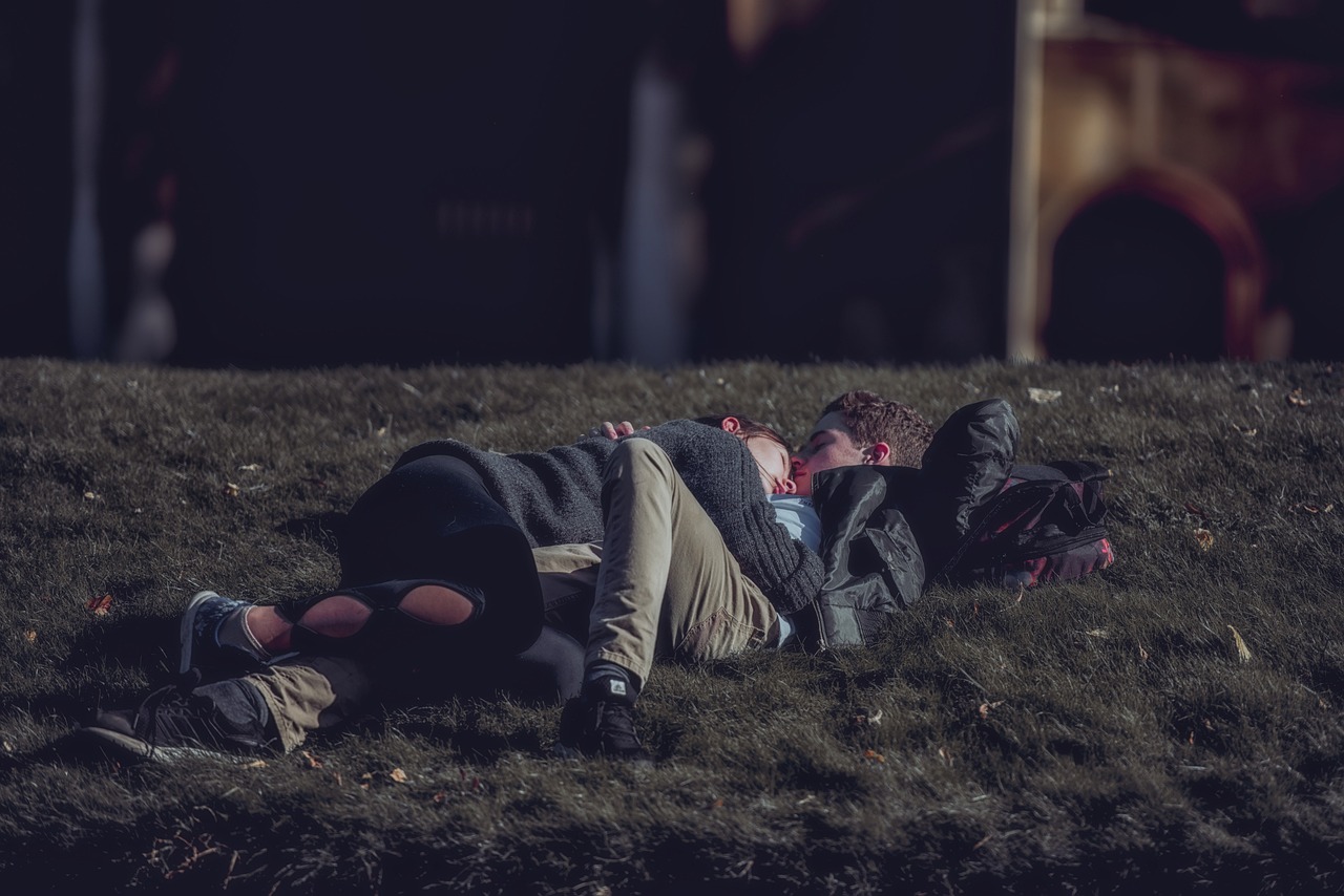 电视剧篱笆女人和狗,情感纠葛与社会洞察的深入探讨