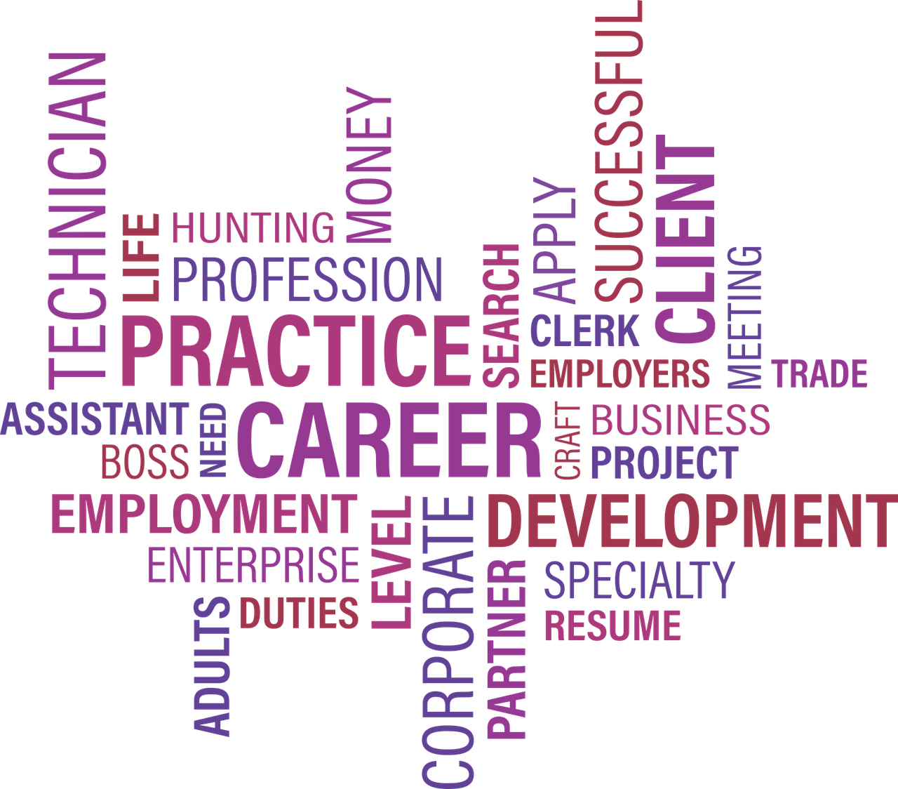 沈阳人才网最新职位招聘，探寻职业发展的无限机遇与可能