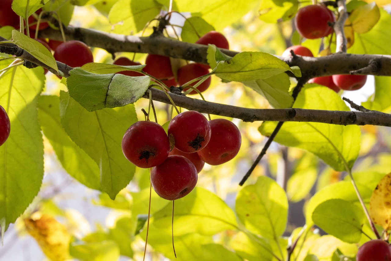 杨宜勇的最新动态与成就概述