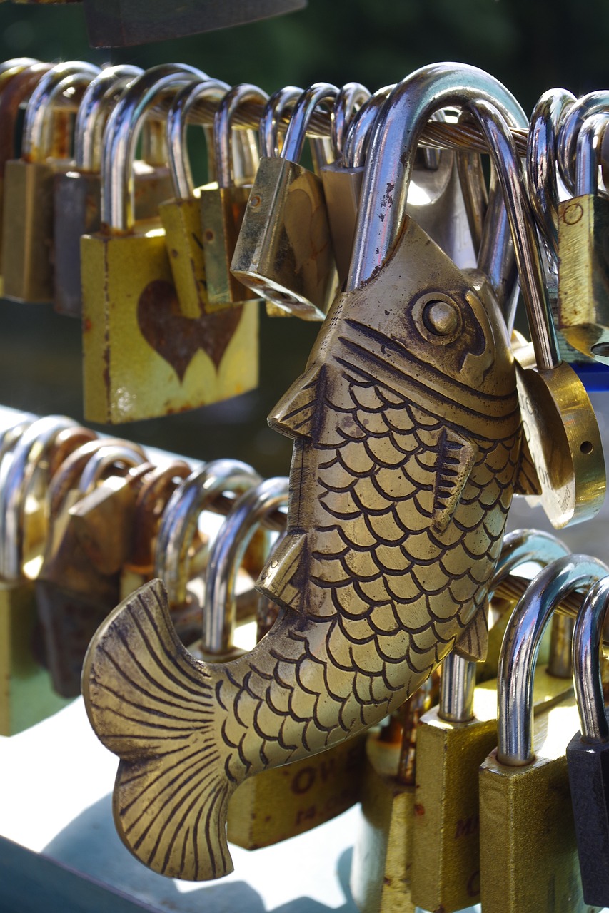 科比飞机最新动态,传奇的延续与永恒怀念