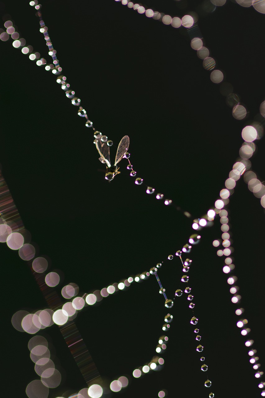 郭明錤最新动态,引领科技前沿,踏上持续创新之路