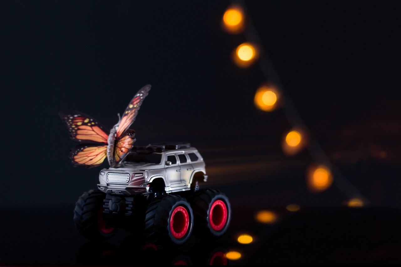 李眉蓁最新动态,光芒四射,照亮未来之路