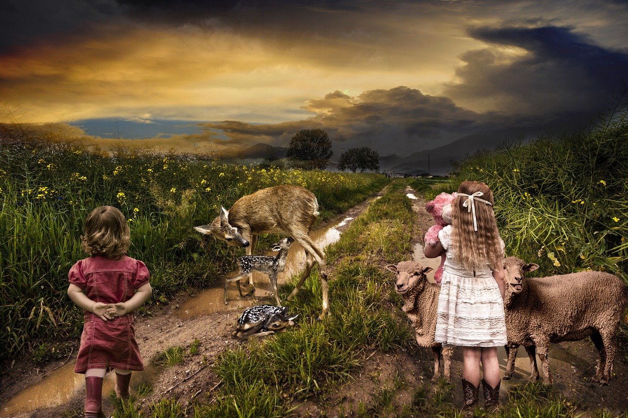 诛仙最新h，奇幻世界的热血传奇之旅