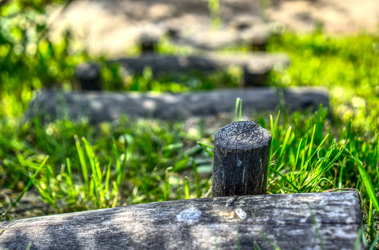 晋城东站最新动态,现代化交通枢纽的崛起与发展