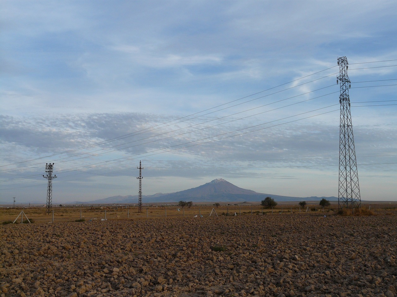柳智腾的最新动态与成就概览