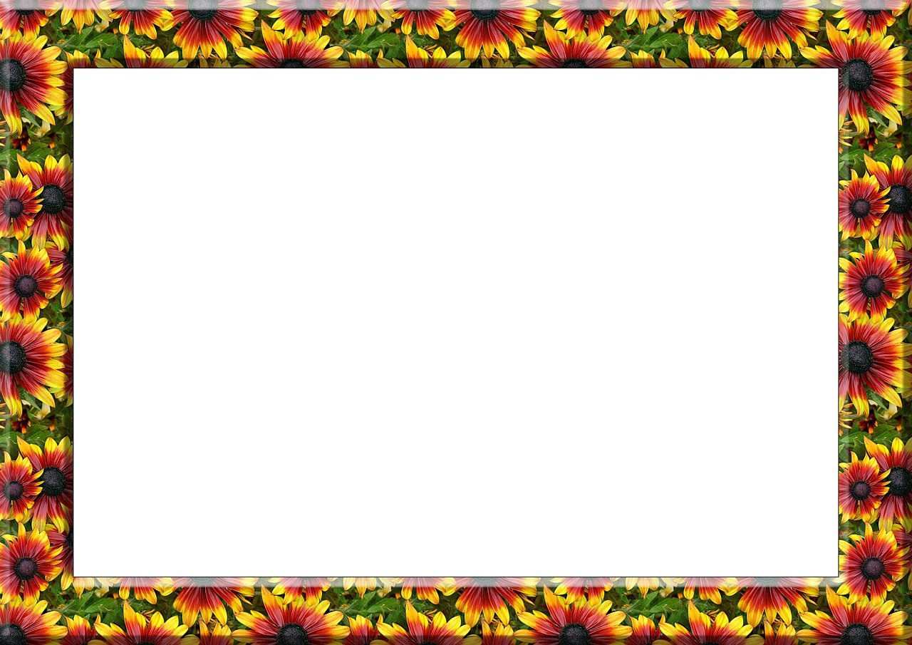 最新色卡架,色彩管理的革命性突破