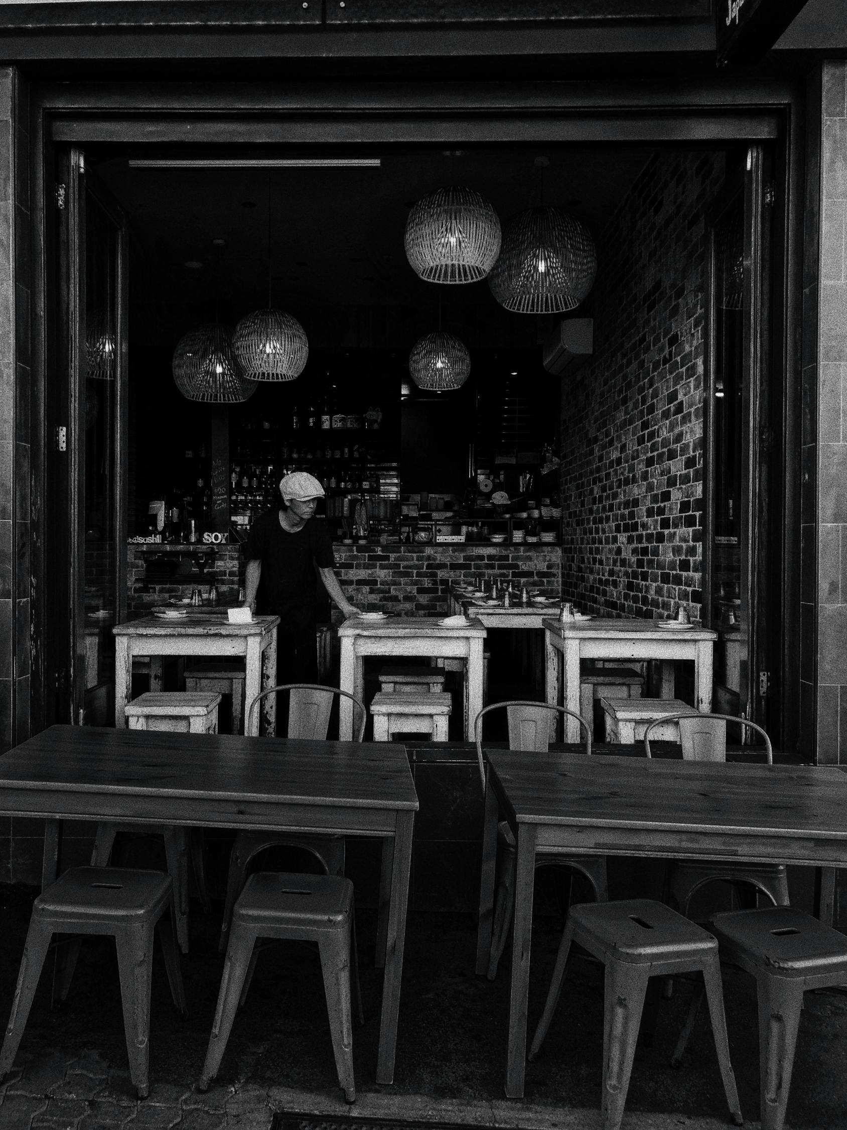 最新猫咖馆,人与猫的温馨相遇场所