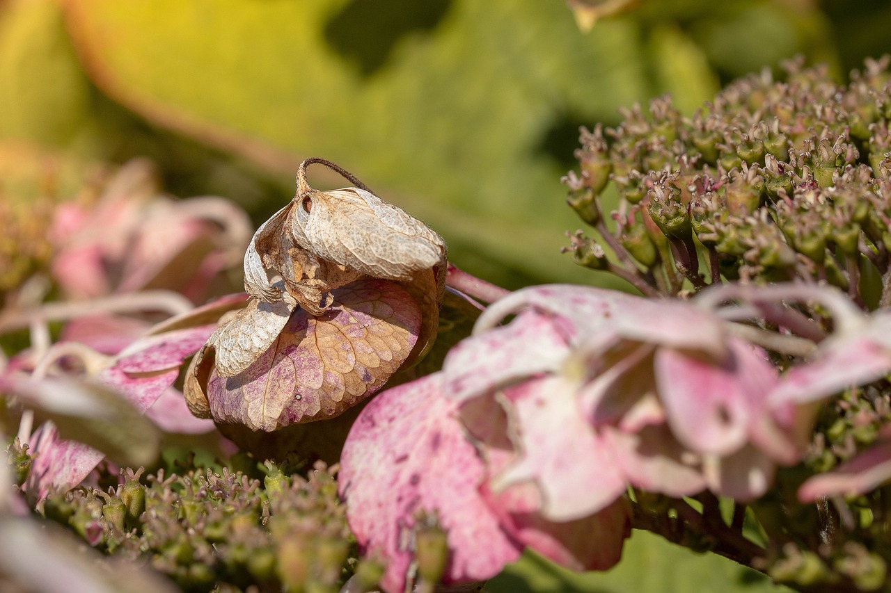 浙江最新肺炎疫情动态，抗击疫情的新征程