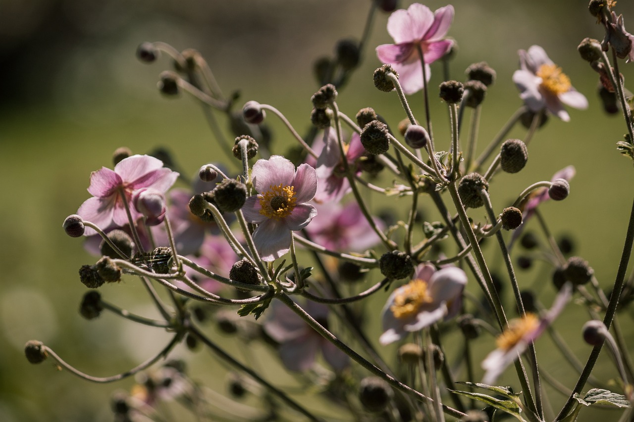 全球疫情最新动态,态势分析与应对策略深化探讨