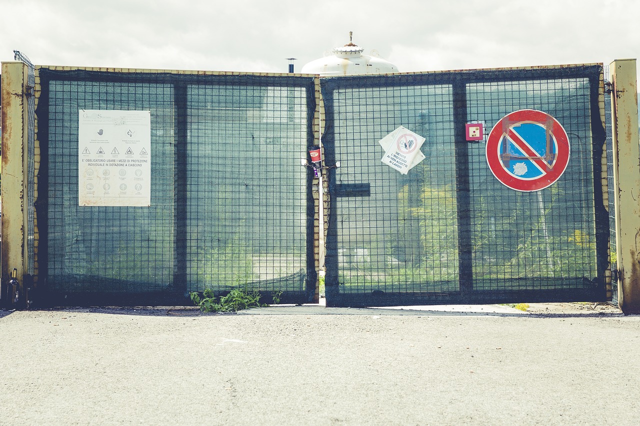 科技与传统融合下的最新式鸽舍养鸽新境界