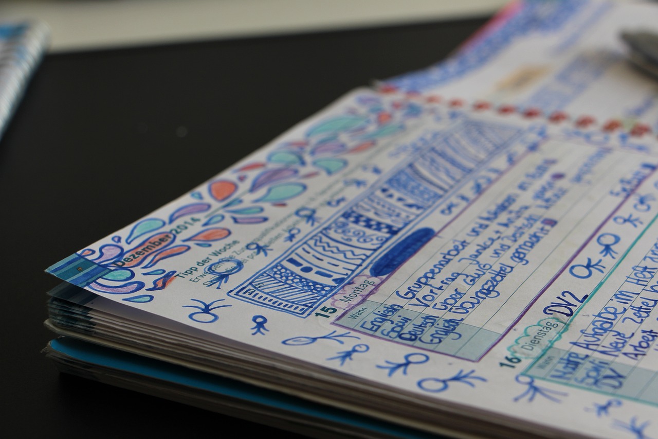 辽宁鞍山最新信息概览,全面解读鞍山动态更新资讯