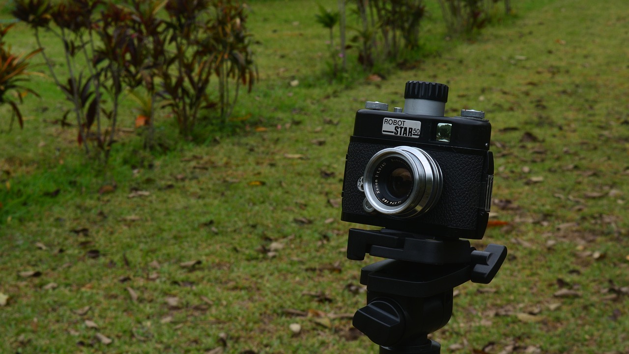 乌日娜最新动态,闪耀之星持续绽放