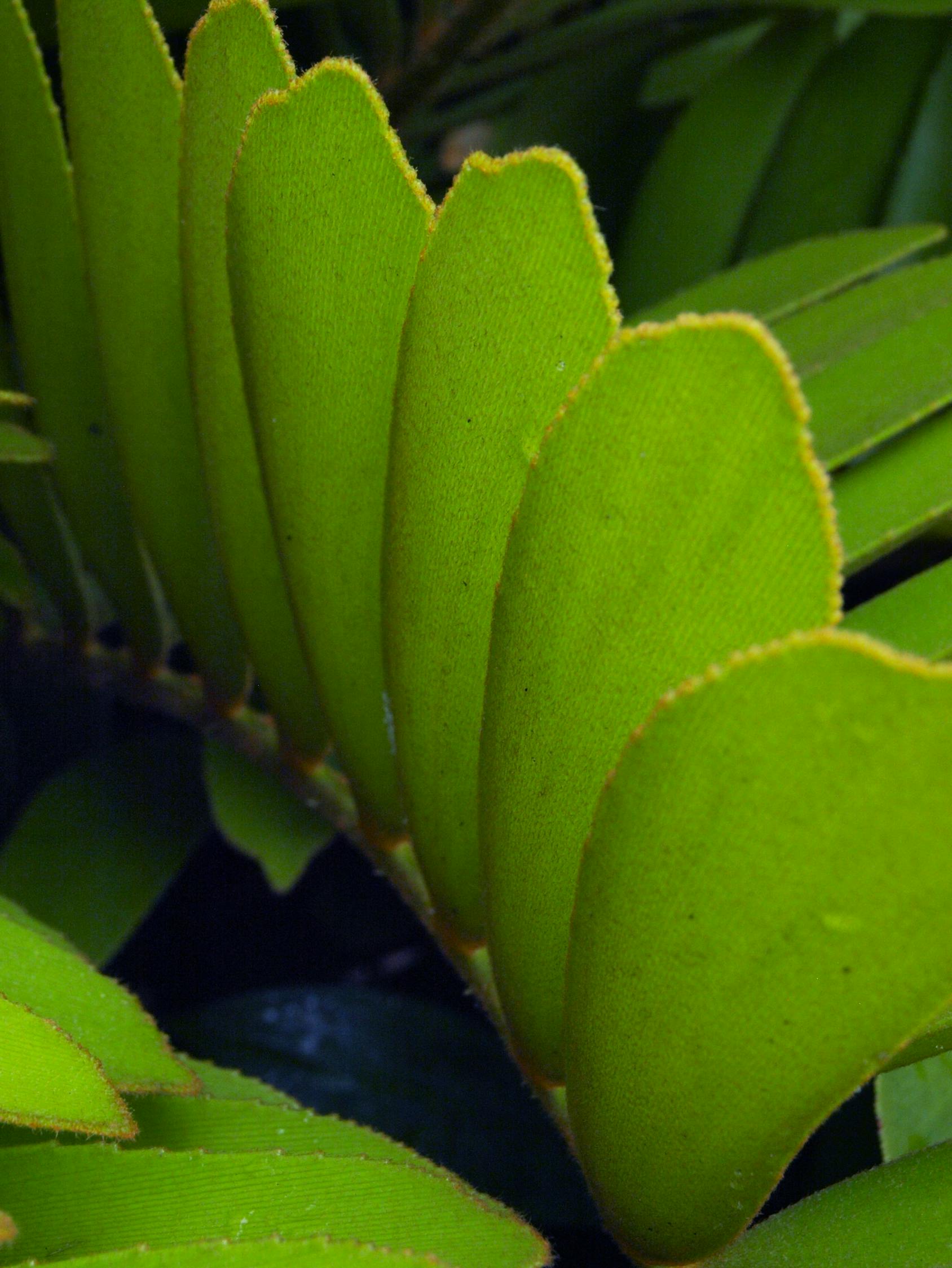 冬泉谷最新动态,探索自然之美与持续和谐共生之路