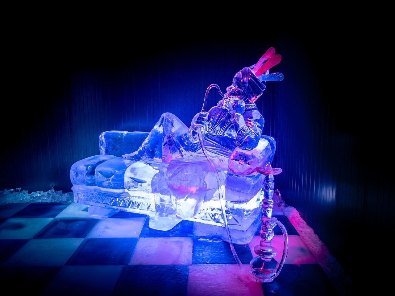 威金斯持续展现篮球天赋,引领新时代潮流的最新动态