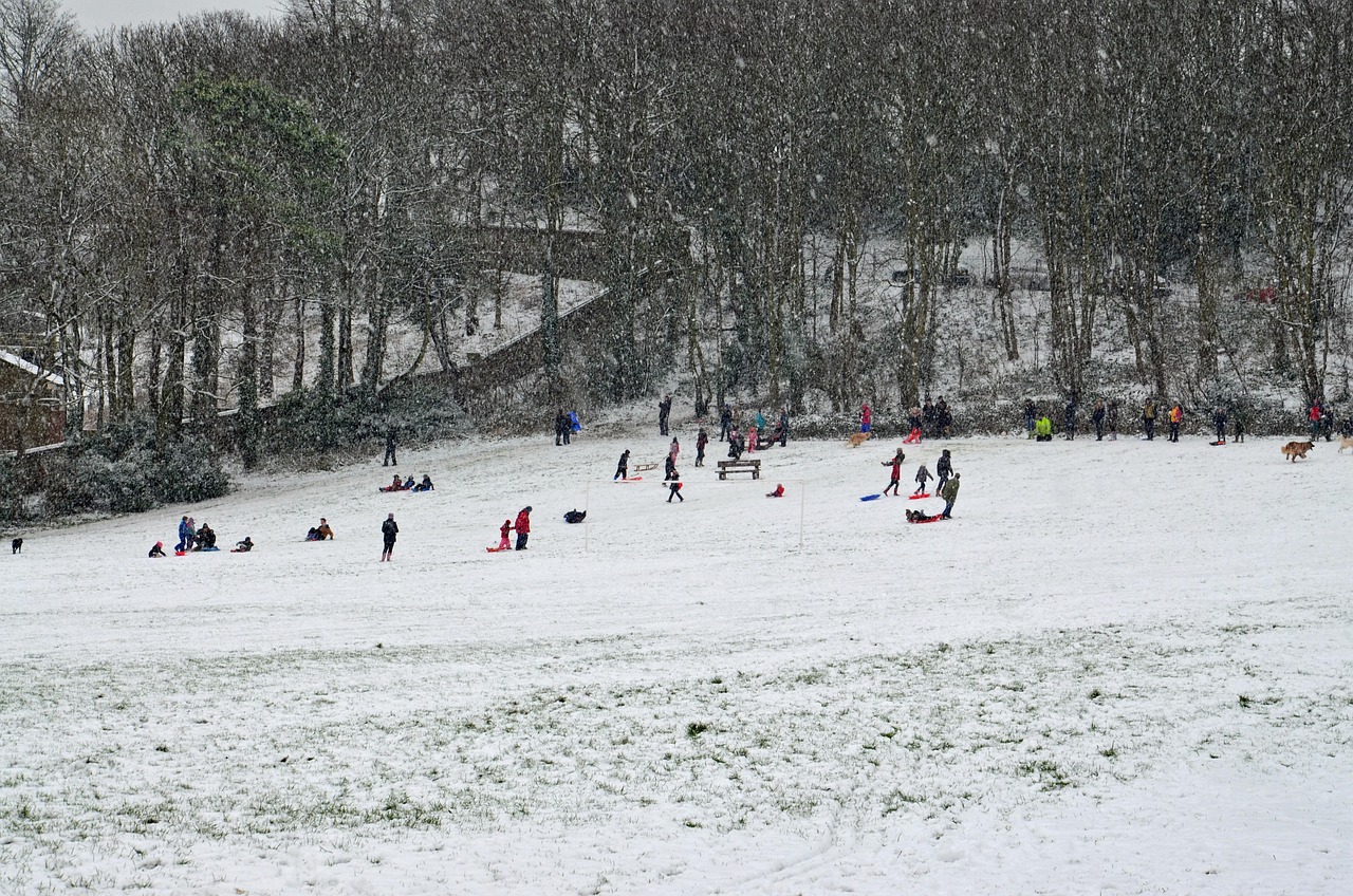 静待花开 第28页