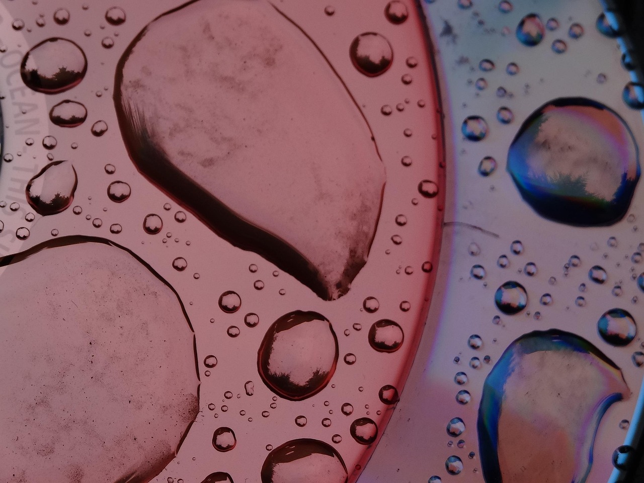 推特大神最新动态揭秘,数字时代的无限潜力探索