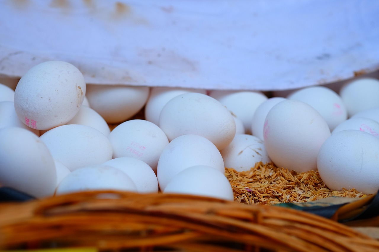 麦鲮最新价格动态分析与趋势预测