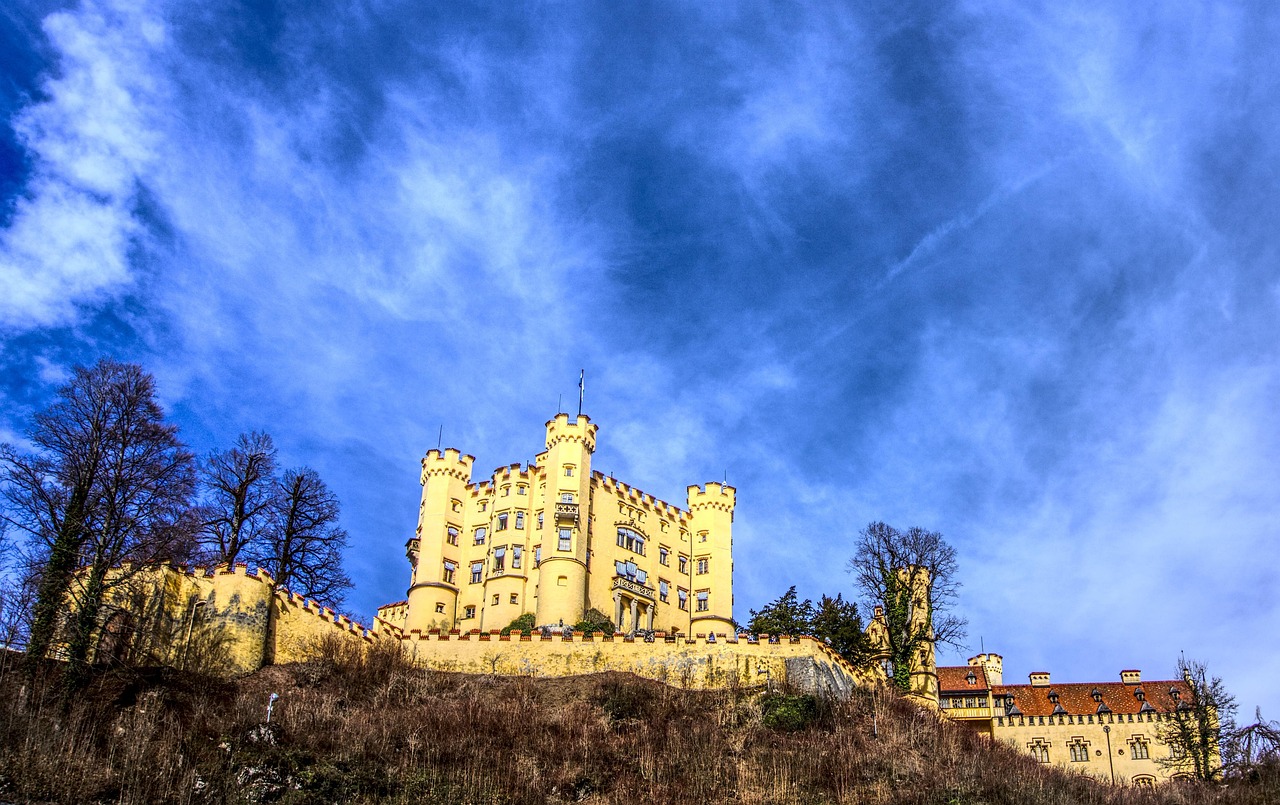 袖珍吴康最新动态与故事更新