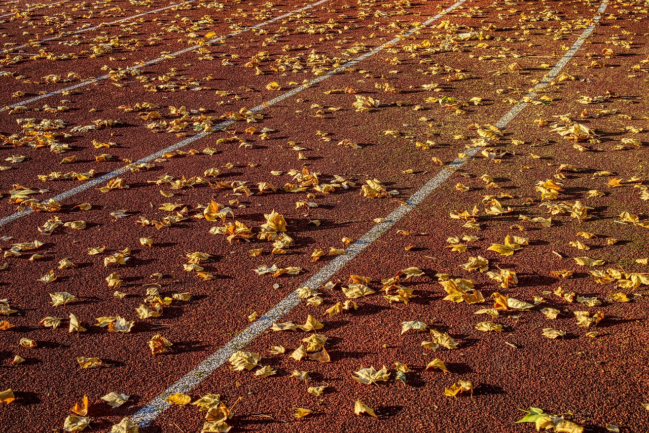 最新欧赔对比分析,洞悉赛事动态,精准预测胜负大战!