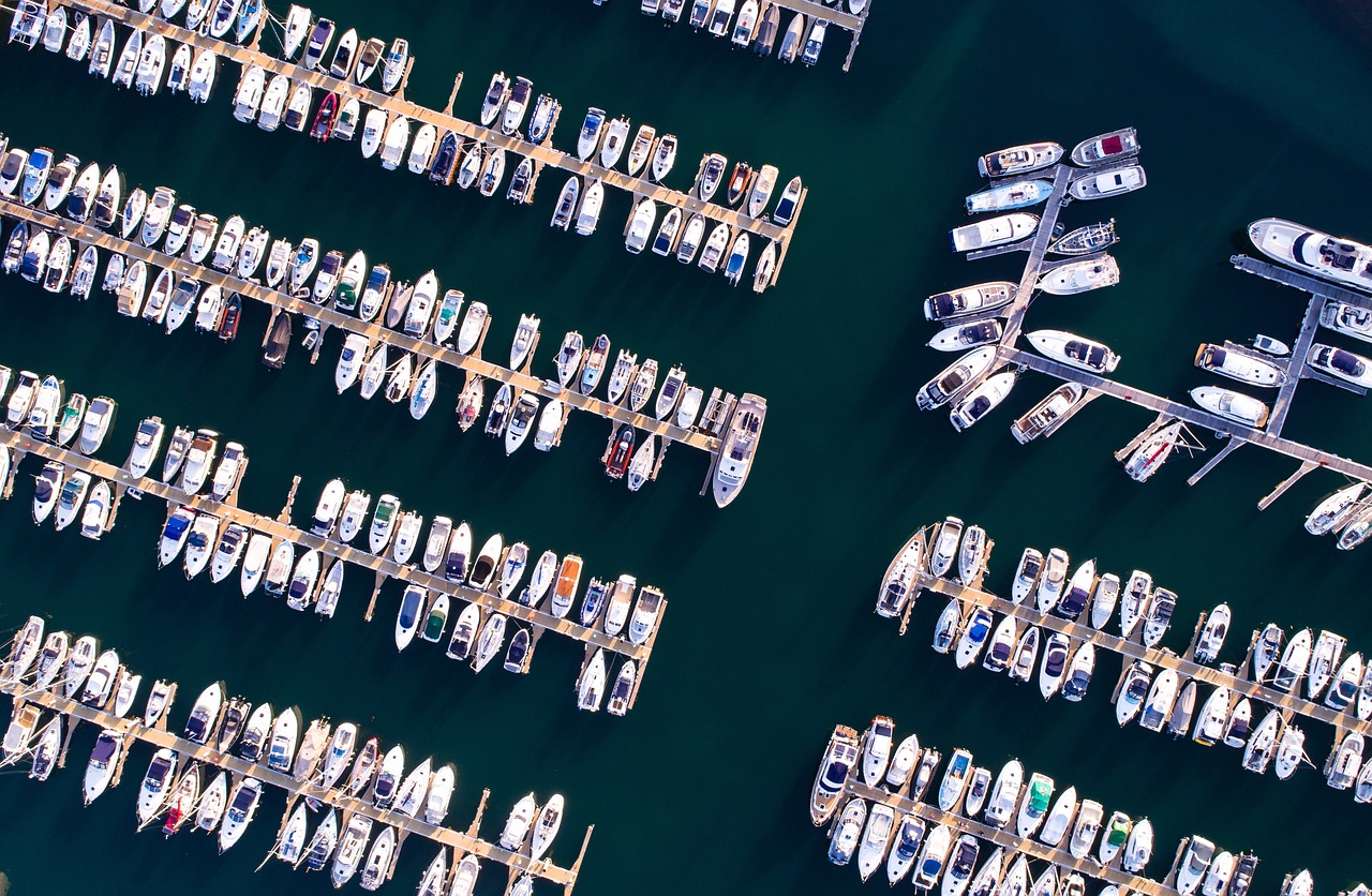 美选最新计票结果揭晓,重塑民主投票的未来面貌