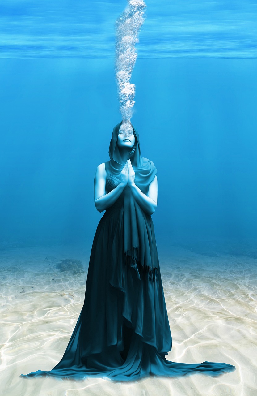 最新捧花头像流行趋势深度解读与热门头像推荐