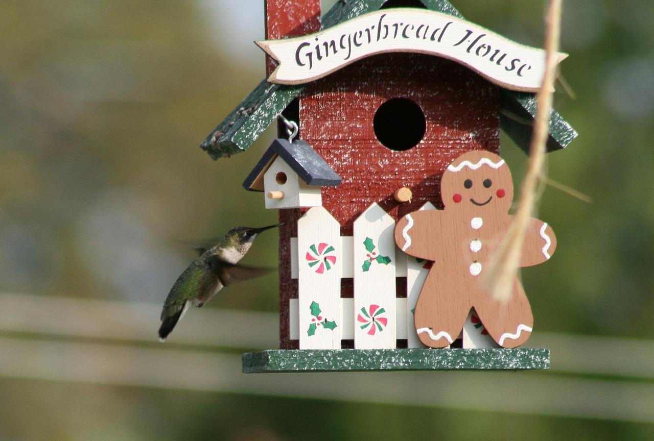 小猪佩最新集，冒险与欢乐的新篇章开启！