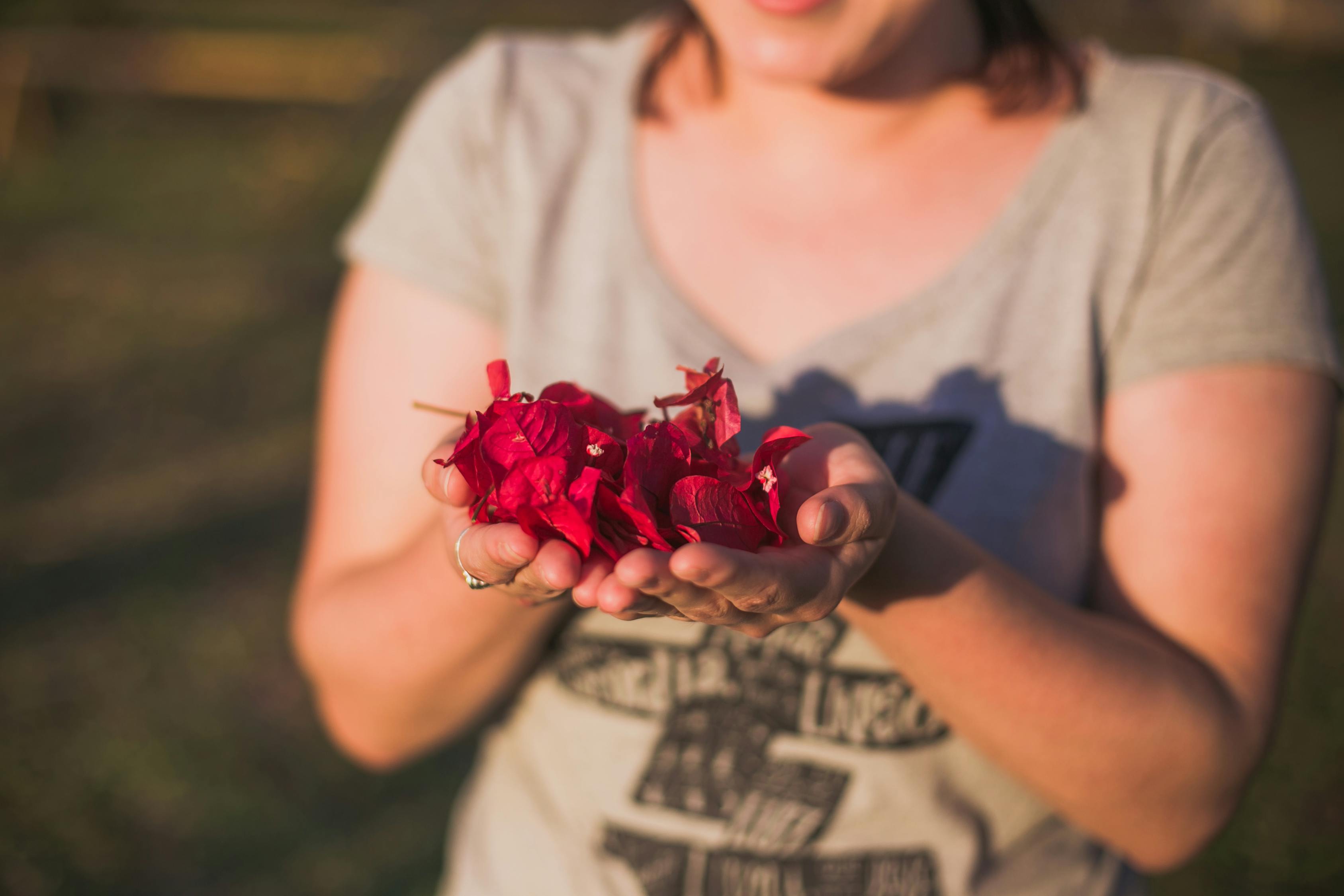 一网最新动态,探索前沿科技,引领未来生活创新